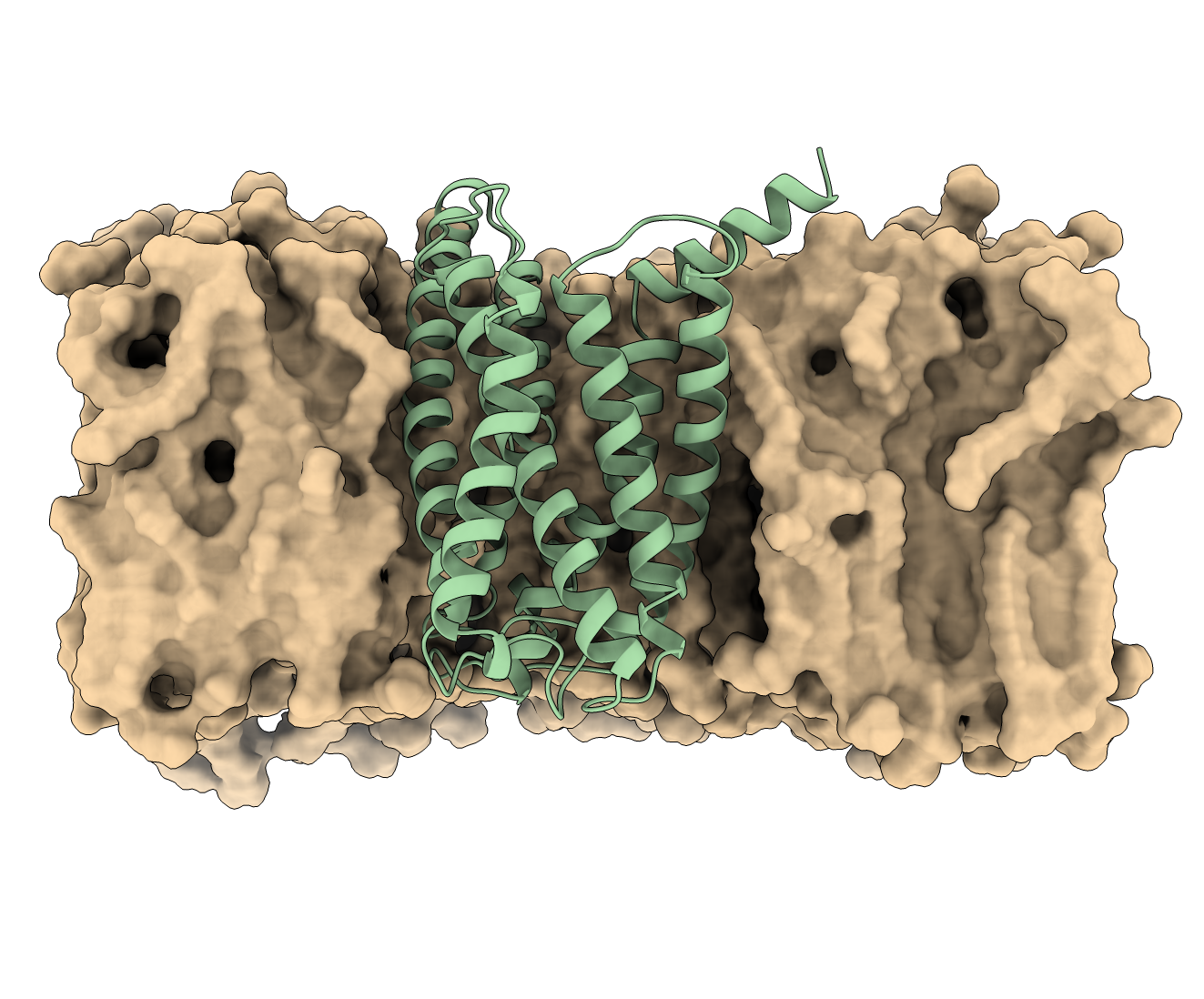 GPCR embedded in membrane.