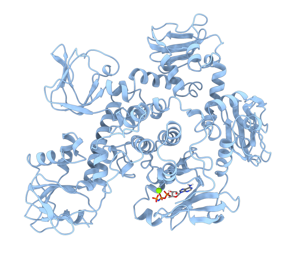 PKG with ligand.