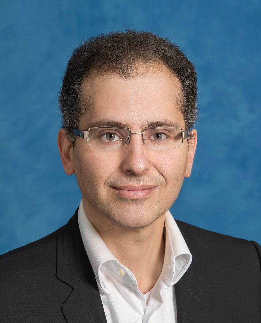 Portrait of Prof. Francesco Luigi Gervasio